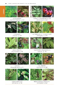 TreesShrubsWoodyVines_66-67-comp Field Guide page