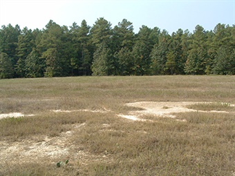 Warren Prairie Natural Area 50th Staff Warren Prairie Natural Area