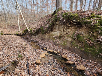 Wittsburg Natural Area 50th Staff Wittsburg Natural Area