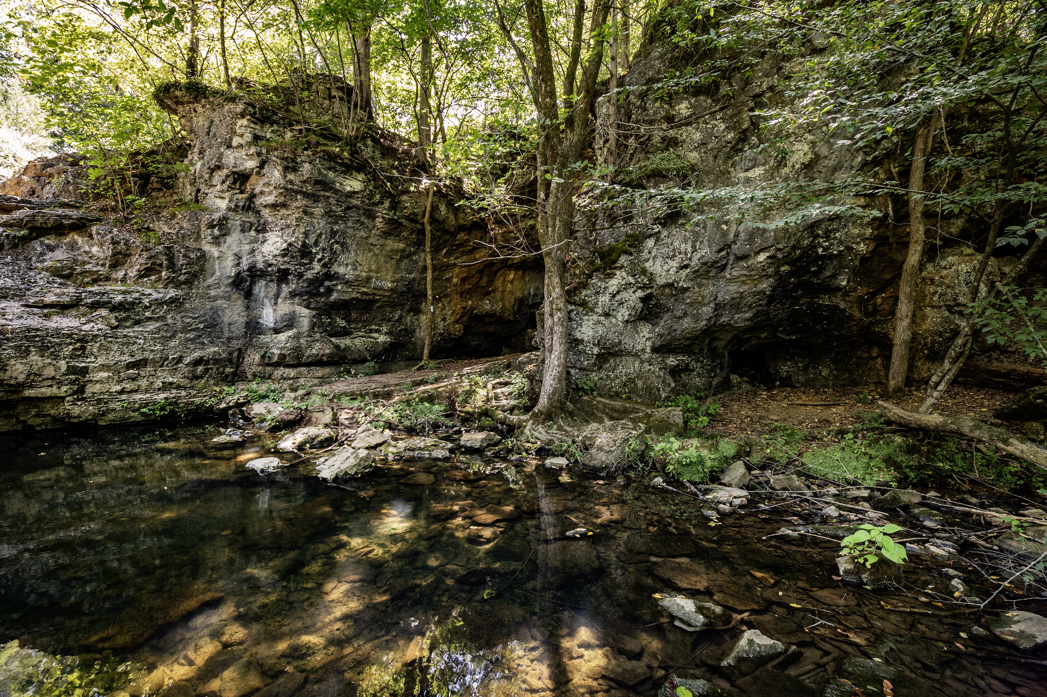 Hall's Creek Canyon Natural Area