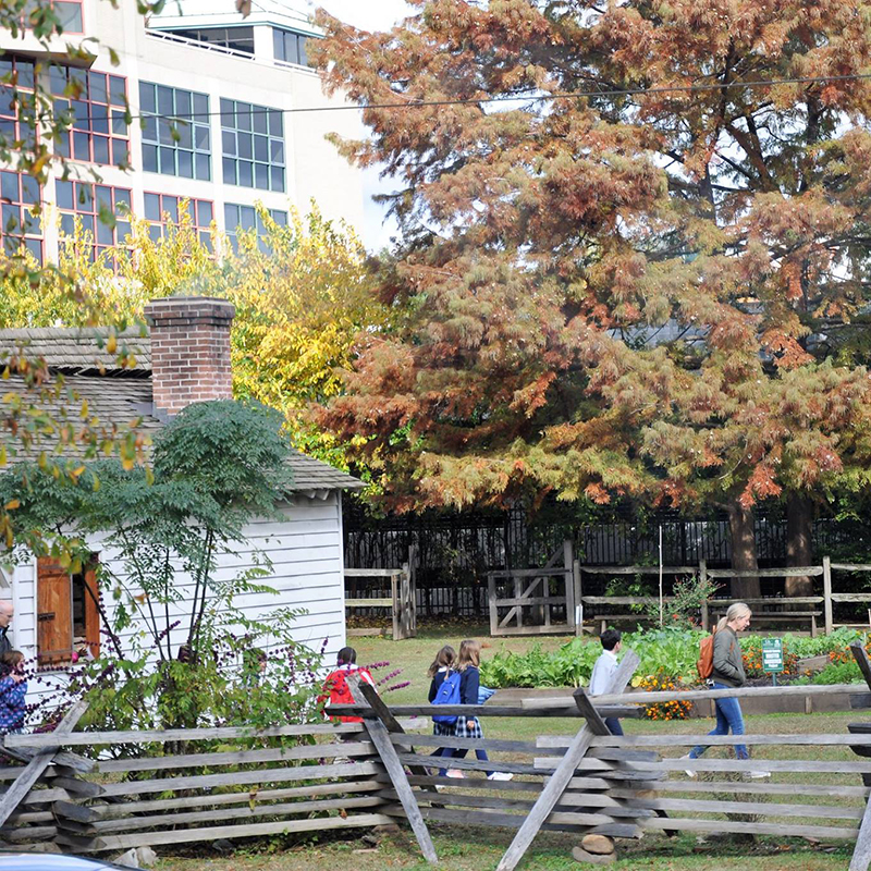 Fall school fair