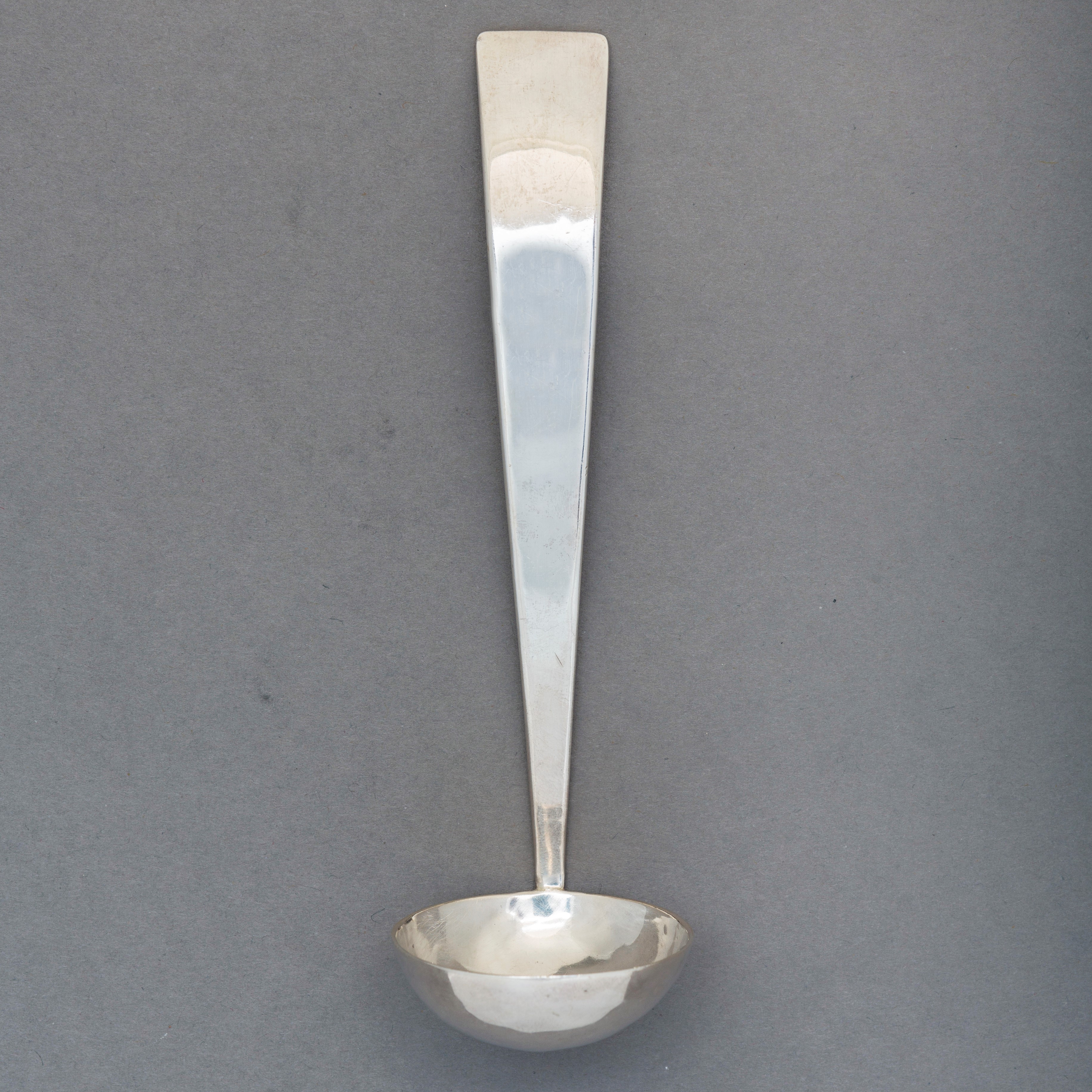 picture of long silver ladle