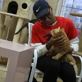 personsittinginchairwithcatontheirlap