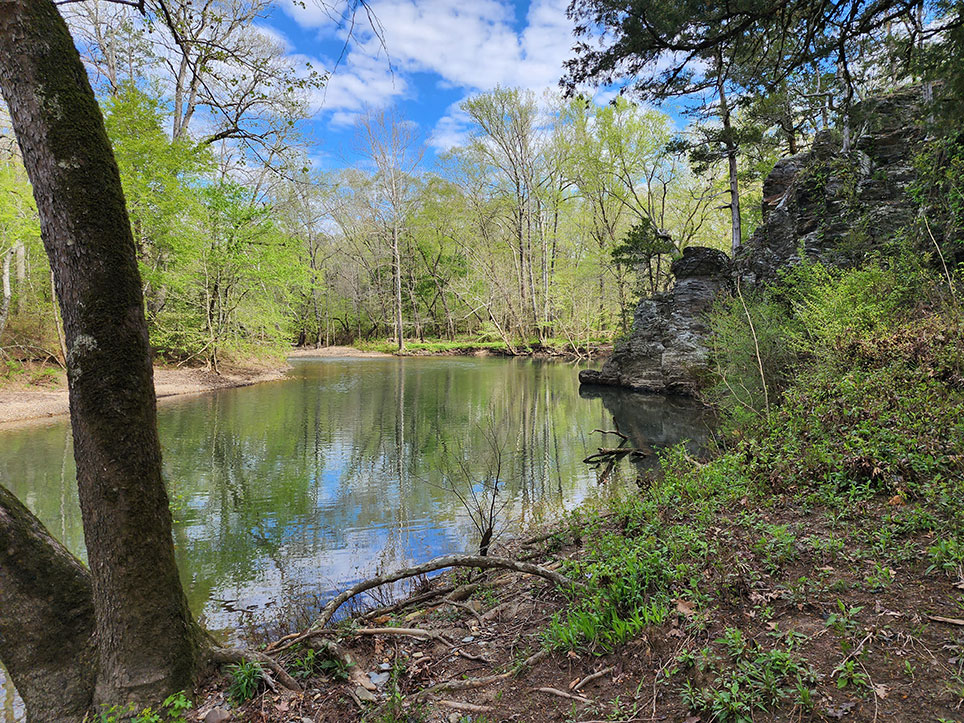 Alum Fork Natural Area