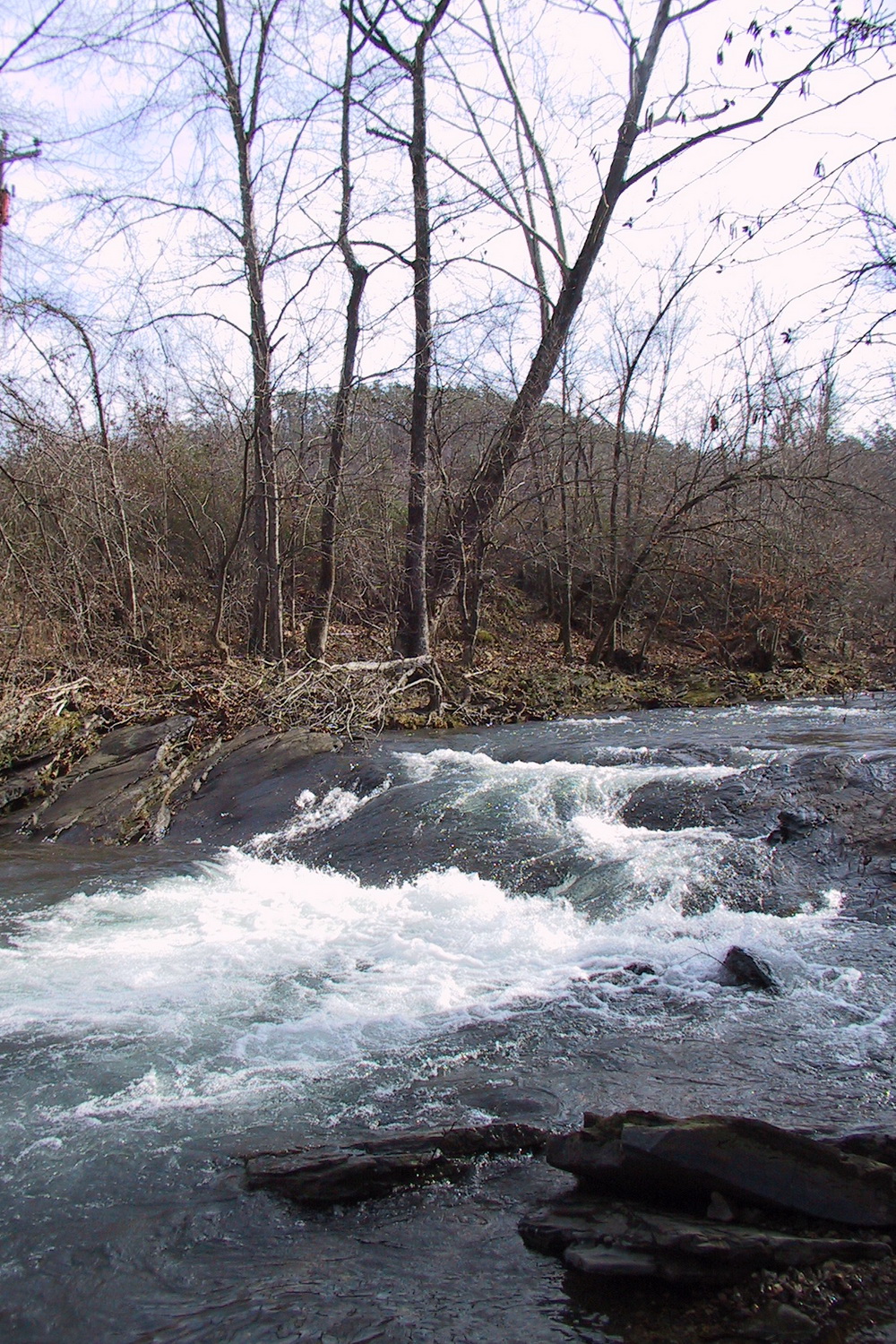 Big Fork Creek Natural Area