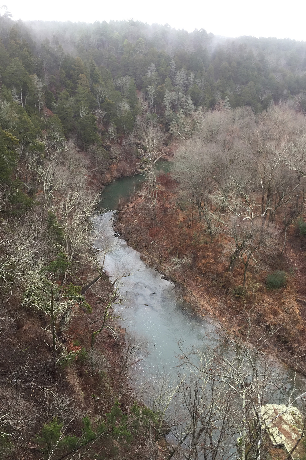 Cove Creek Natural Area