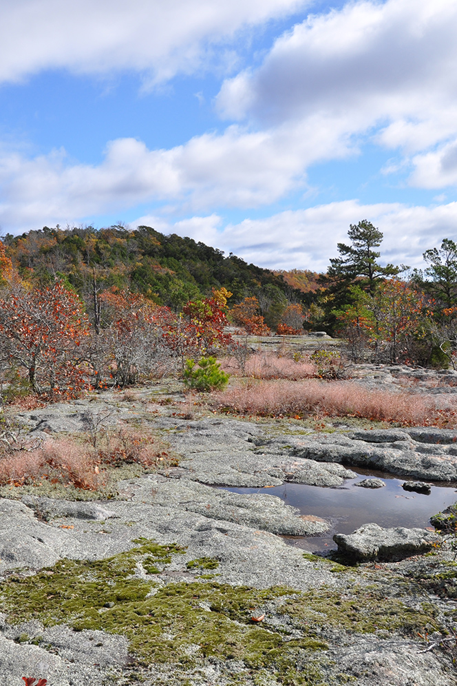 Devil's Knob-Devil's Backbone Natural Area