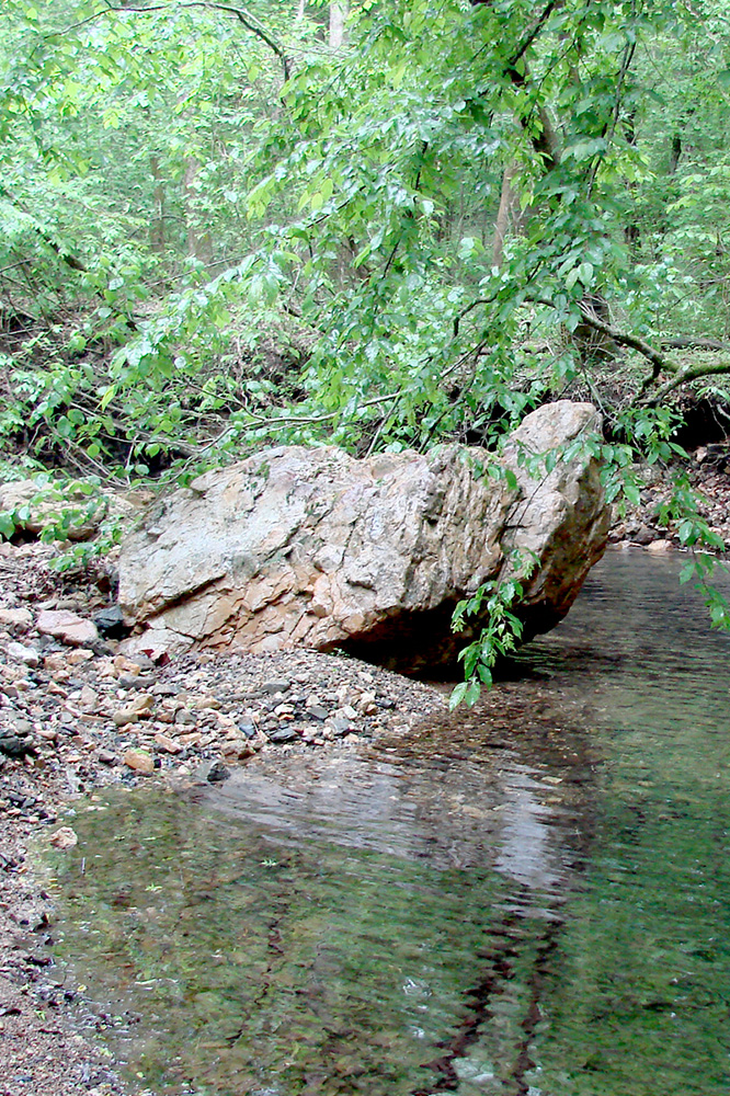 Gap Creek Natural Area