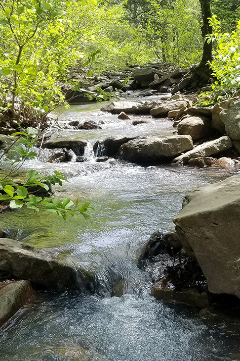 Garrett Hollow Natural Area