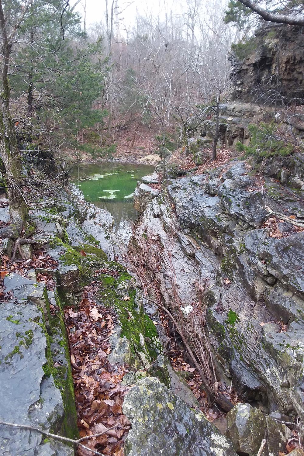 Hall's Creek Canyon Natural Area