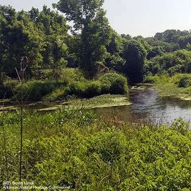 Healing Springs Natural Area