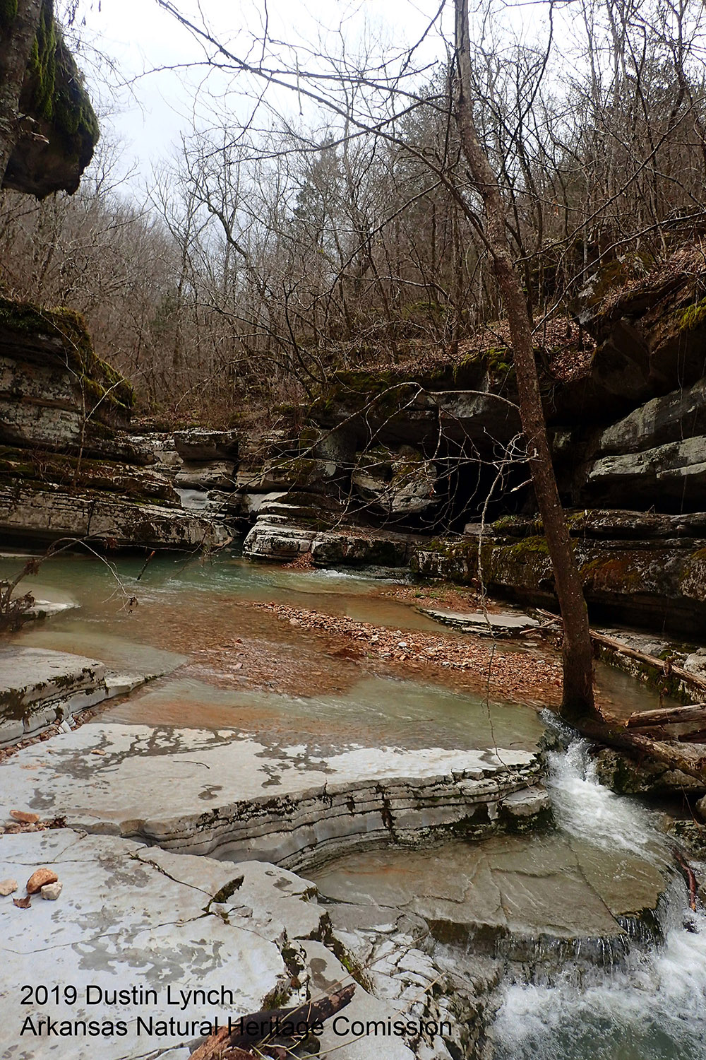 Hell Creek Natural Area