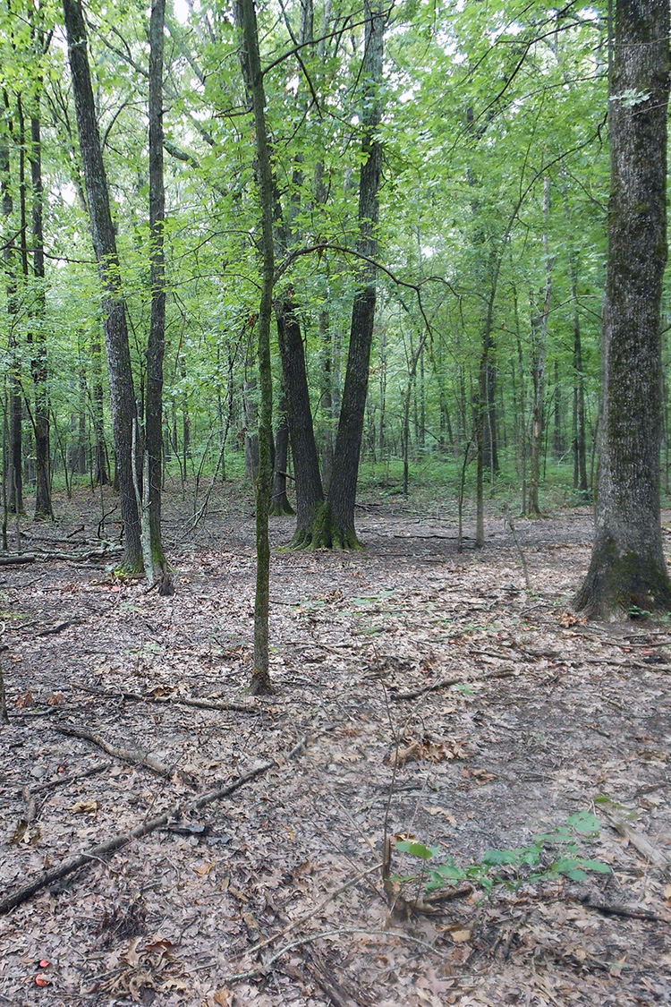 Holloway Memorial Natural Area