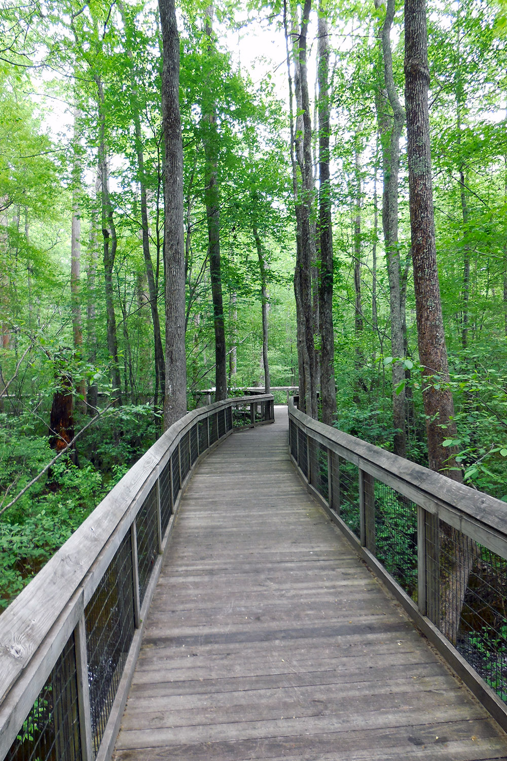 Lorance Creek Natural Area