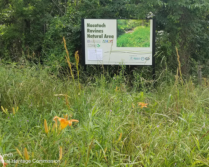 Nacatoch Ravines Natural Area