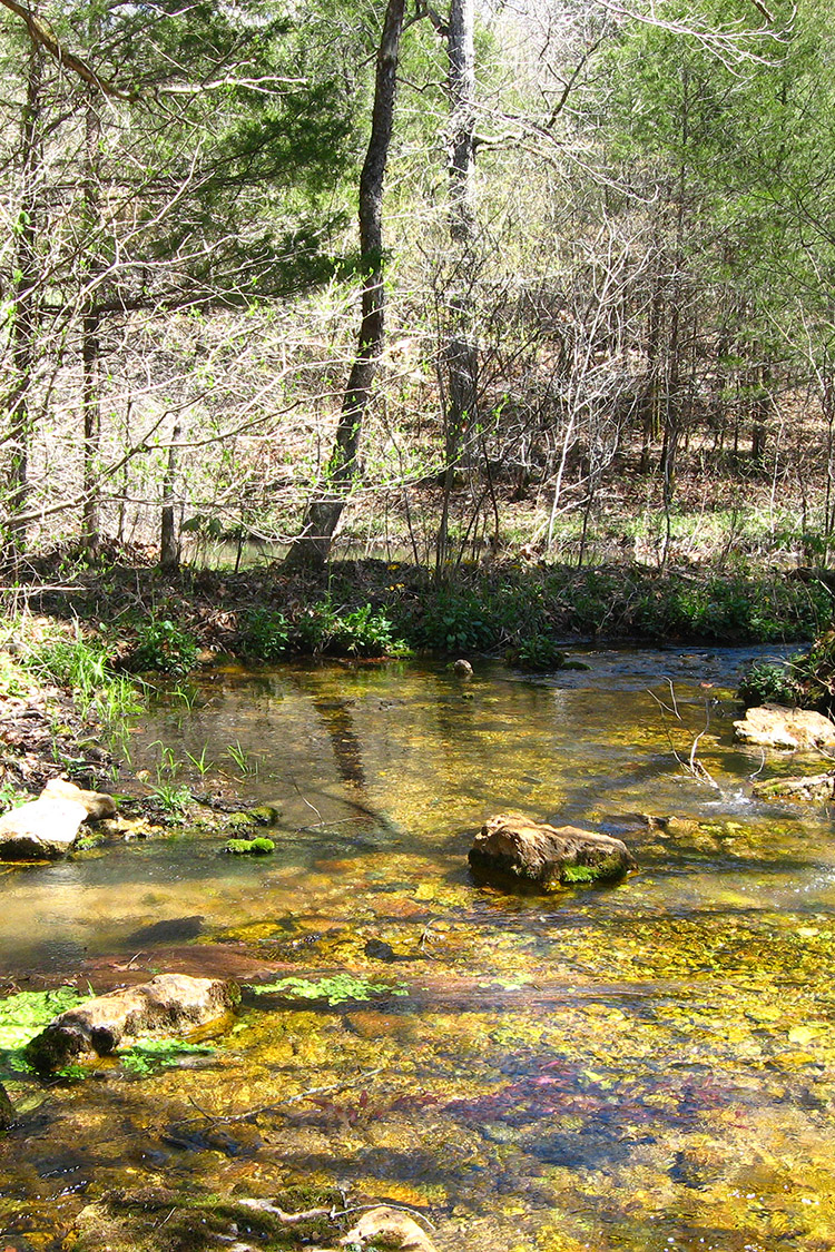 Rock Creek Natural Area