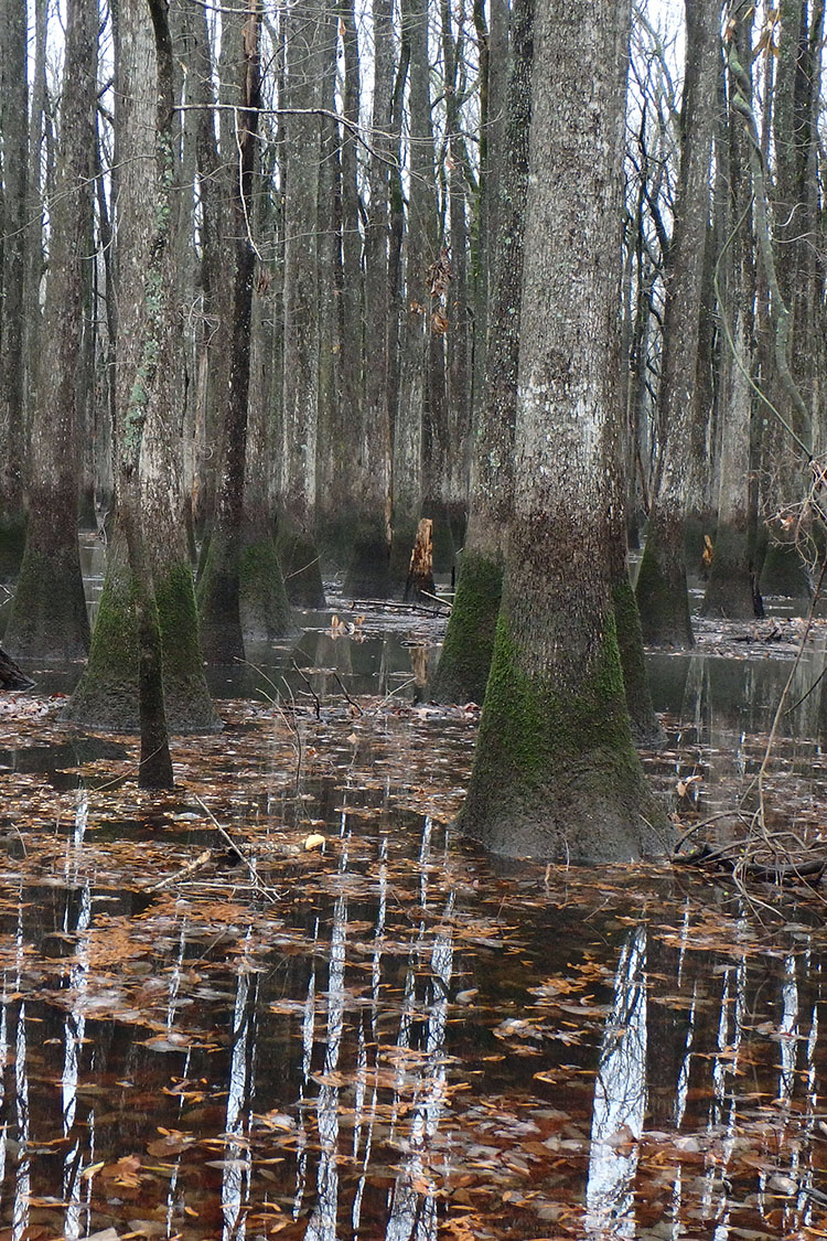 Smoke Hole Natural Area