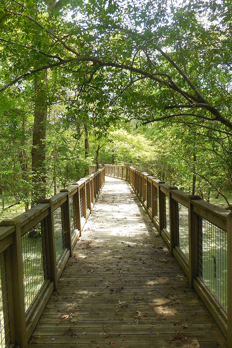 Striplin Woods Natural Area