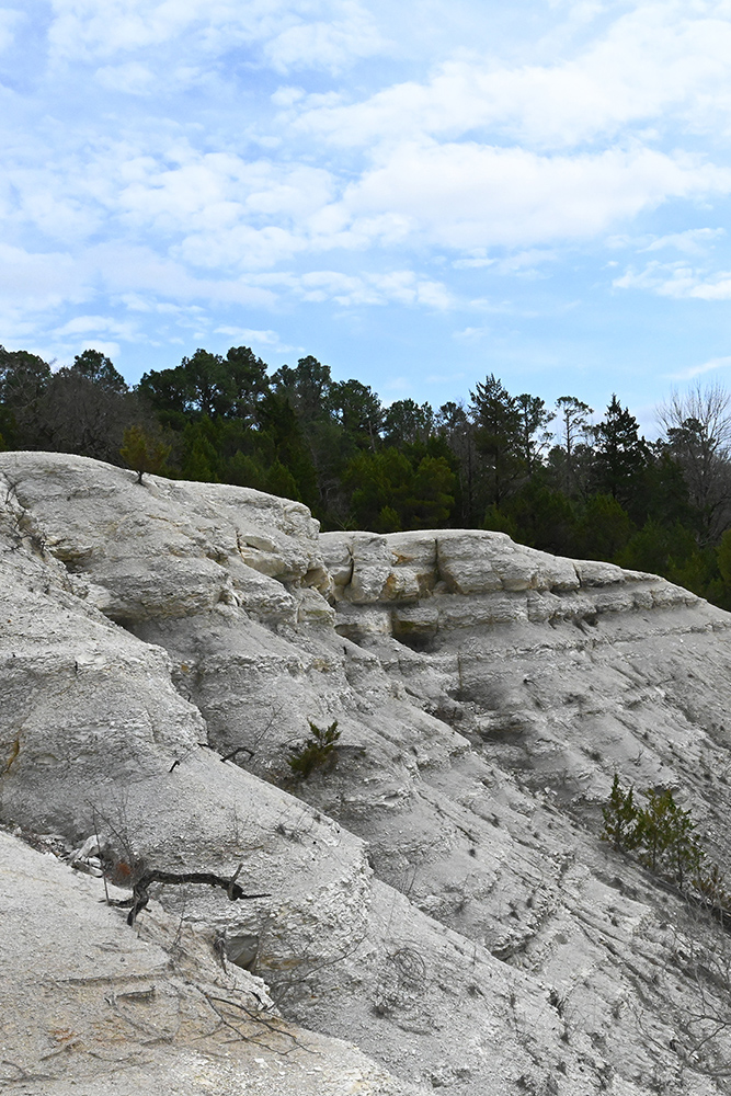 White Cliffs Natural Area