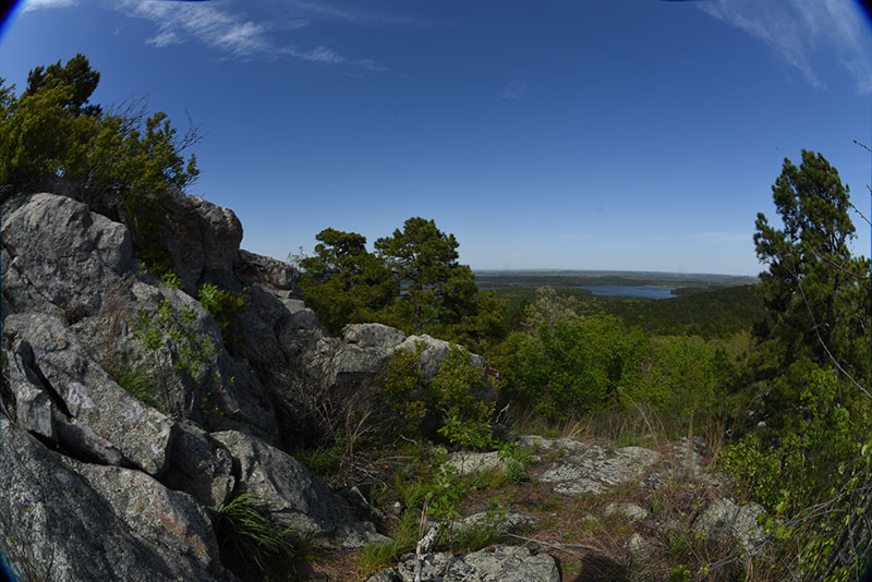 Rattlesnake Ridge Natural Area