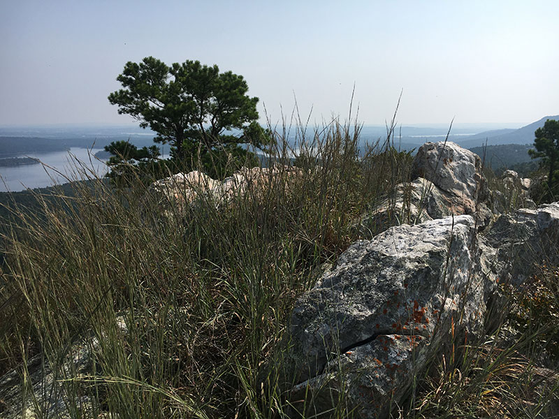 Rattlesnake Ridge Natural Area