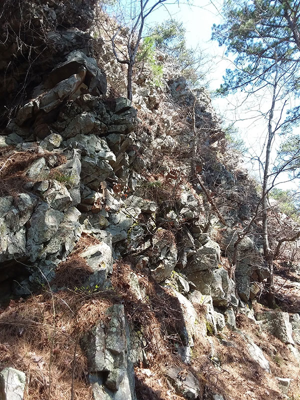Rattlesnake Ridge Natural Area
