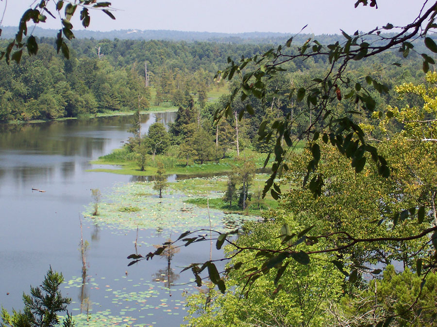White Cliffs Natural Area