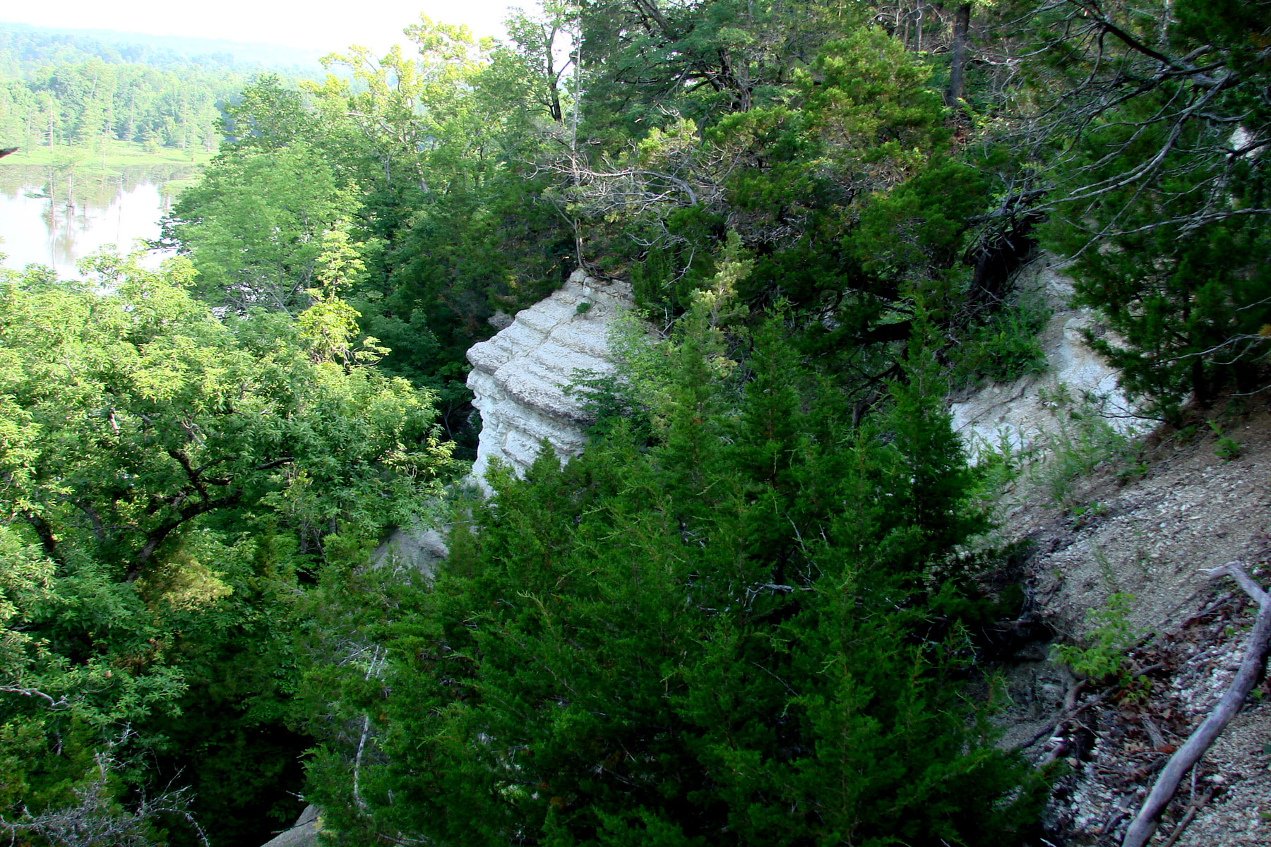 White Cliffs Natural Area